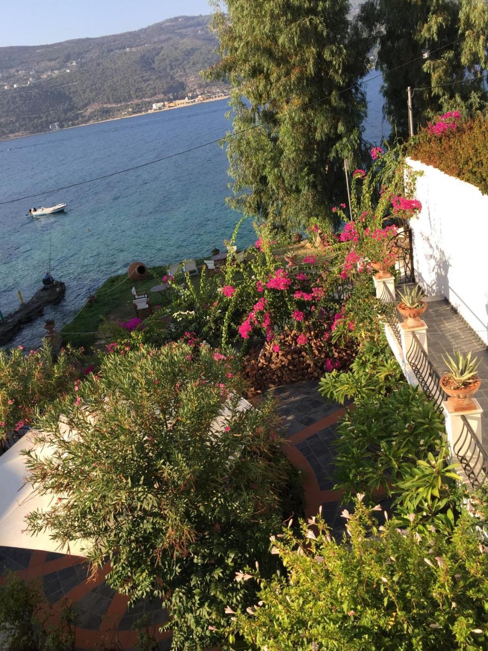 Roditses Beach Sea Front Apartments Samos Town Exterior photo